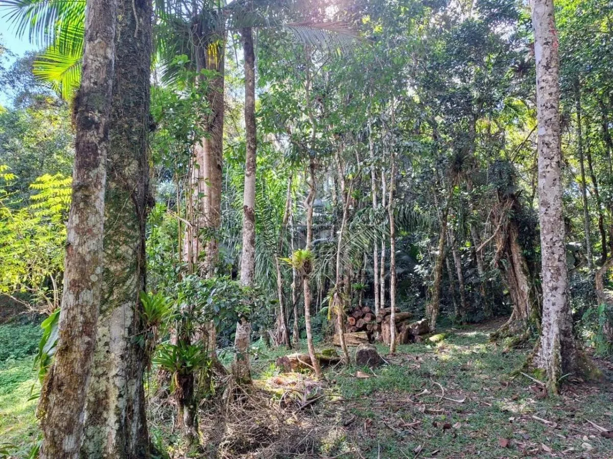 Chácara à venda de 2 ha em Juquitiba, SP, Brasil