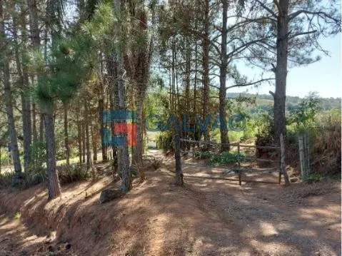 Sítio à venda de 6 ha em Jarinu, SP, Brasil