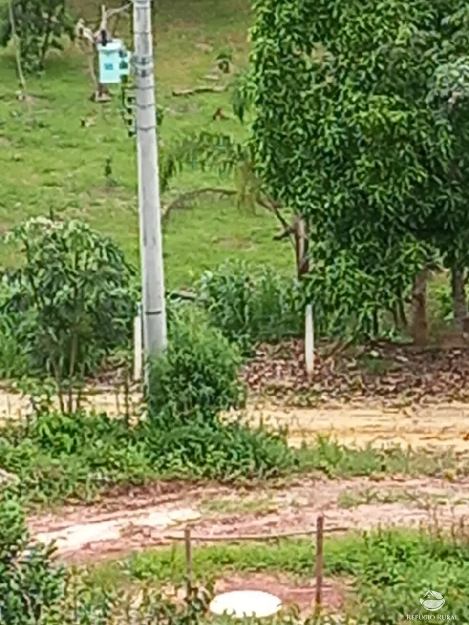 Plot for sale of 5 acres in Monteiro Lobato, SP, Brazil