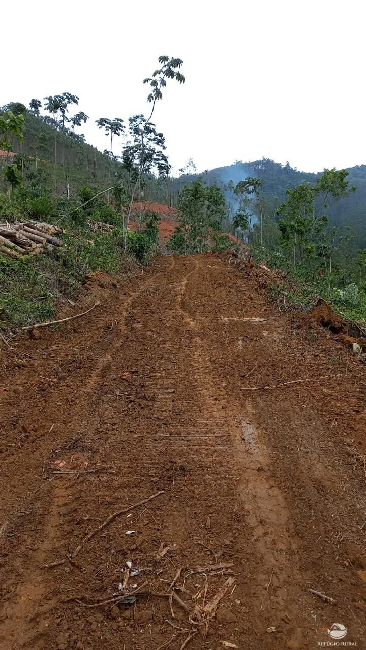 Plot for sale of 5 acres in Monteiro Lobato, SP, Brazil