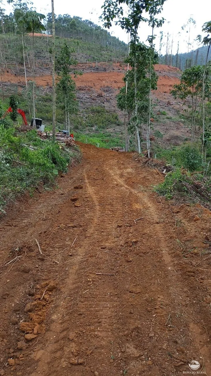 Plot for sale of 5 acres in Monteiro Lobato, SP, Brazil