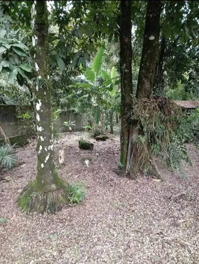 Chácara à venda de 1 ha em Registro, SP, Brasil