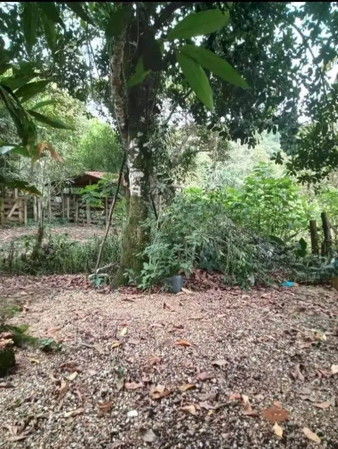 Chácara à venda de 1 ha em Registro, SP, Brasil