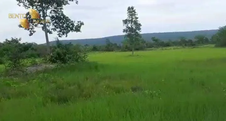 Farm for sale of 1,606 acres in Cuiabá, MT, Brazil