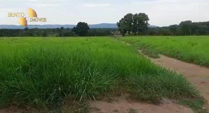 Farm for sale of 1,606 acres in Cuiabá, MT, Brazil