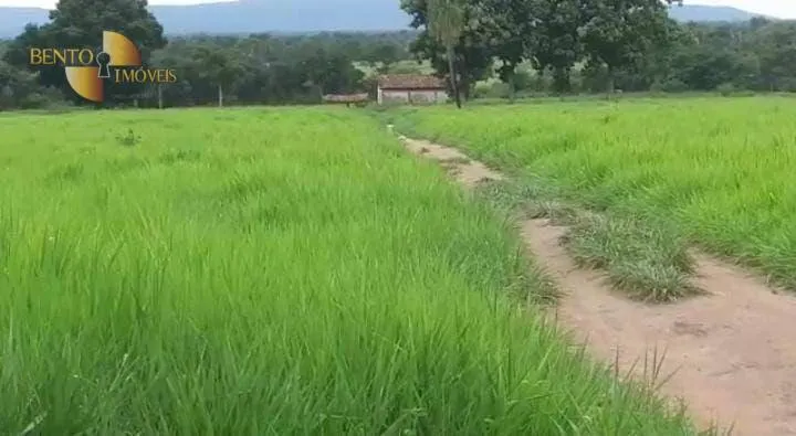 Farm for sale of 1,606 acres in Cuiabá, MT, Brazil
