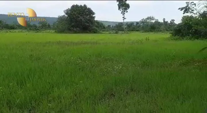 Farm for sale of 1,606 acres in Cuiabá, MT, Brazil