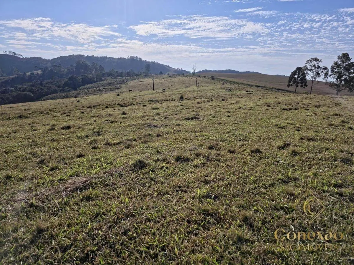 Fazenda à venda de 171 ha em Capão Bonito, SP, Brasil