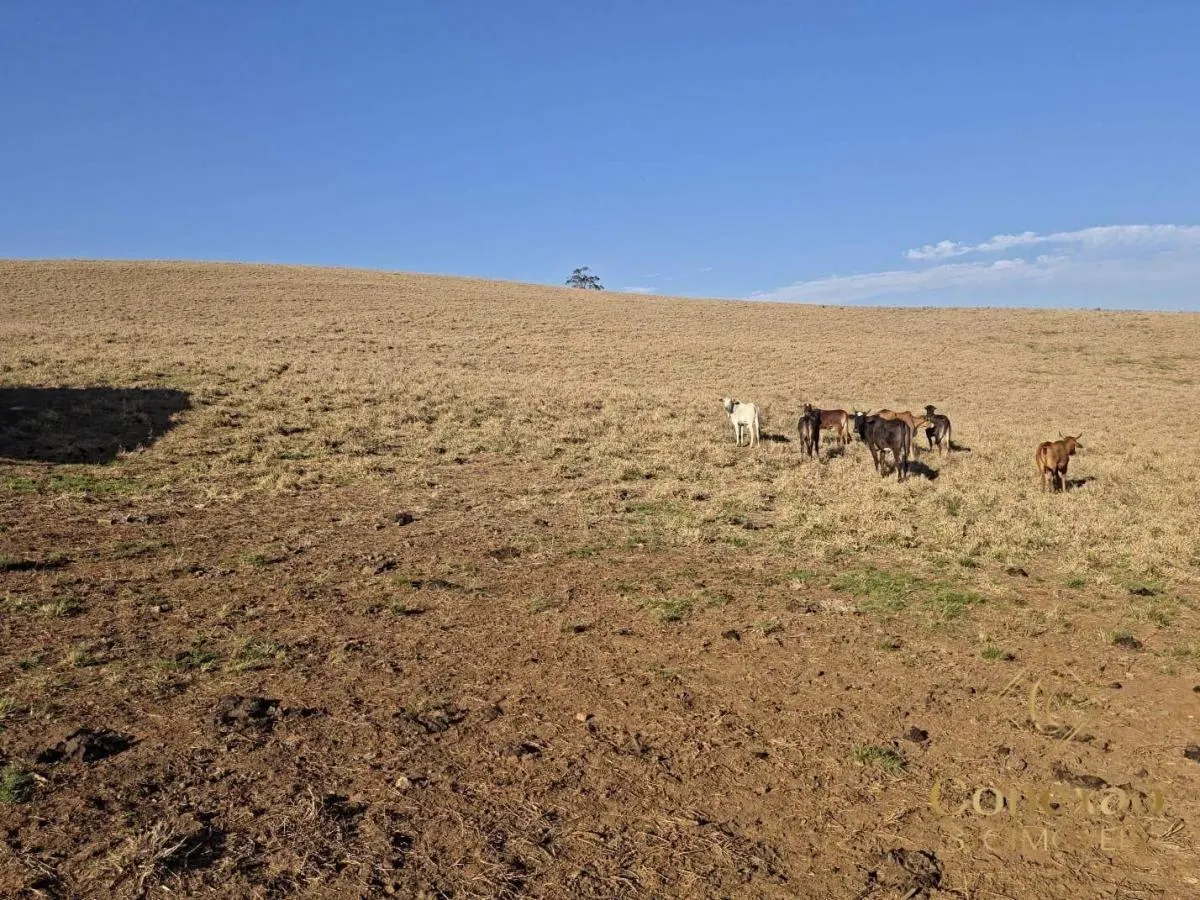 Fazenda à venda de 171 ha em Capão Bonito, SP, Brasil