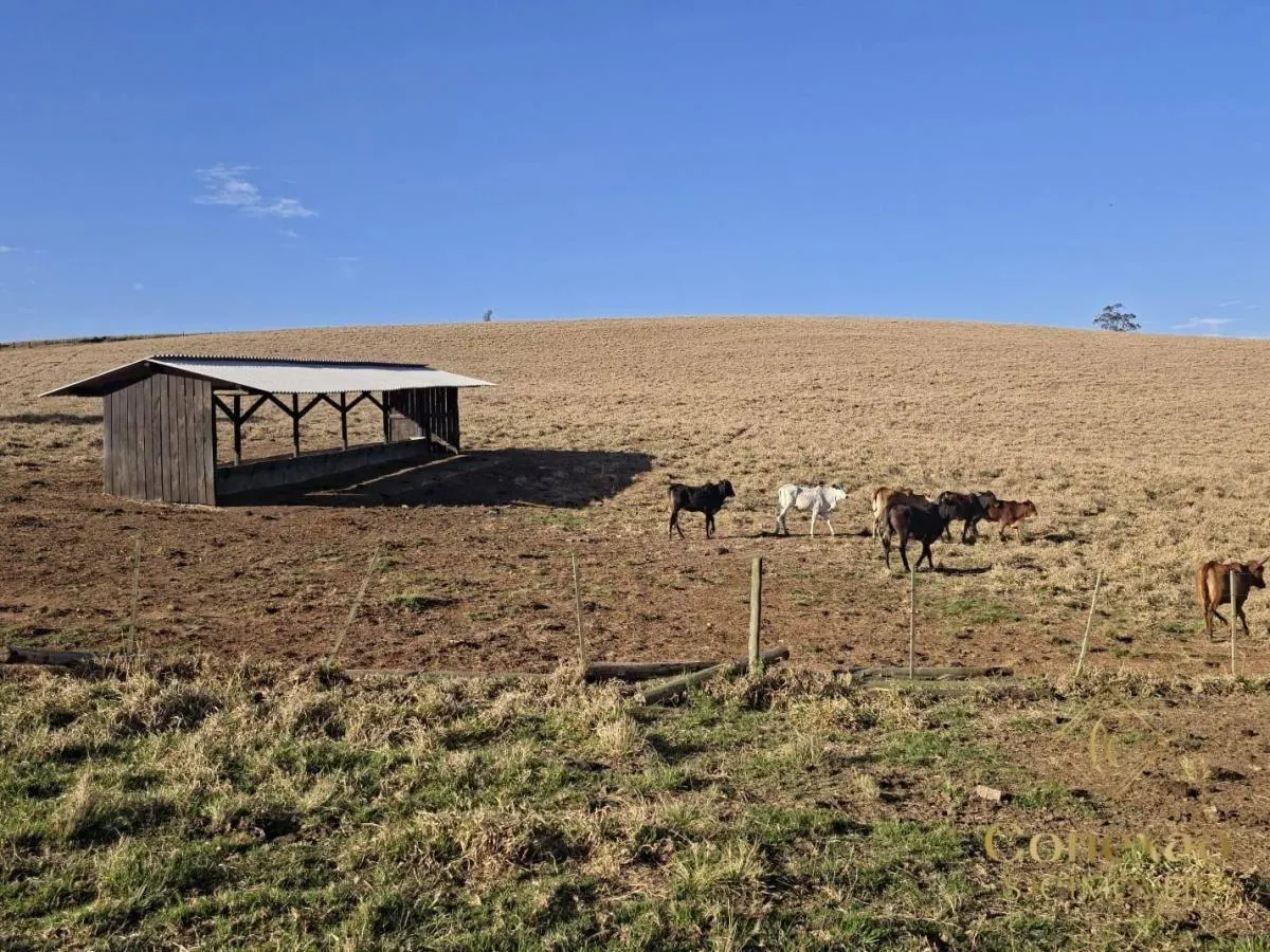 Fazenda à venda de 171 ha em Capão Bonito, SP, Brasil