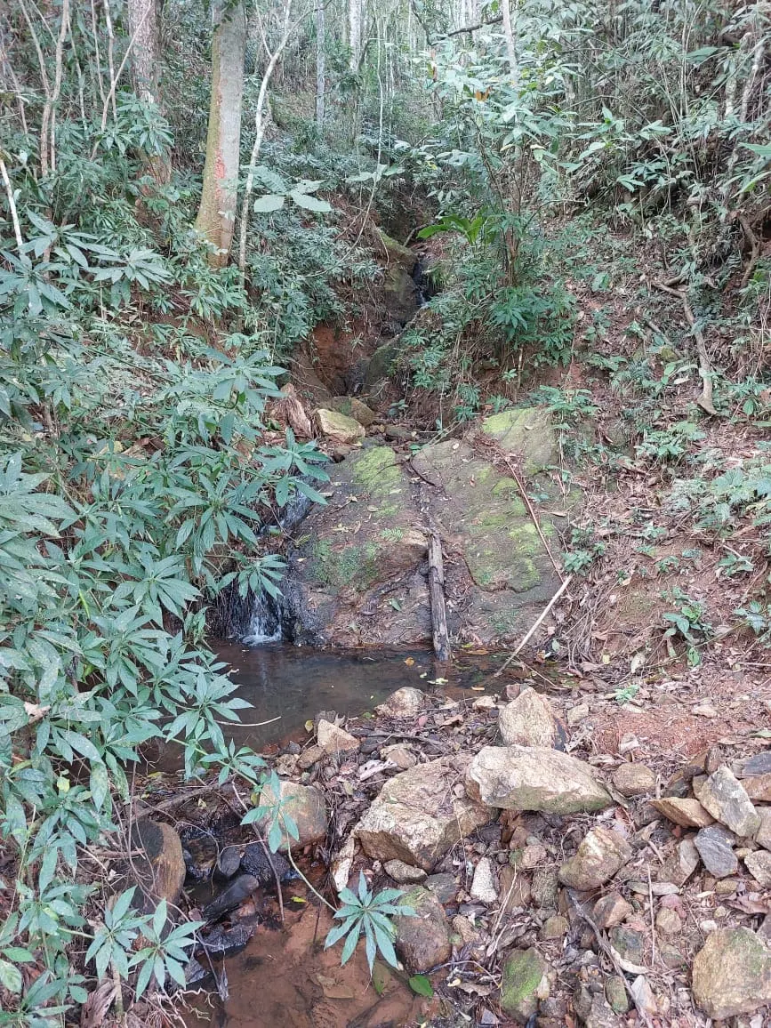 Small farm for sale of 132 acres in Monteiro Lobato, SP, Brazil