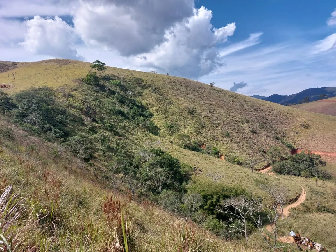 Small farm for sale of 132 acres in Monteiro Lobato, SP, Brazil
