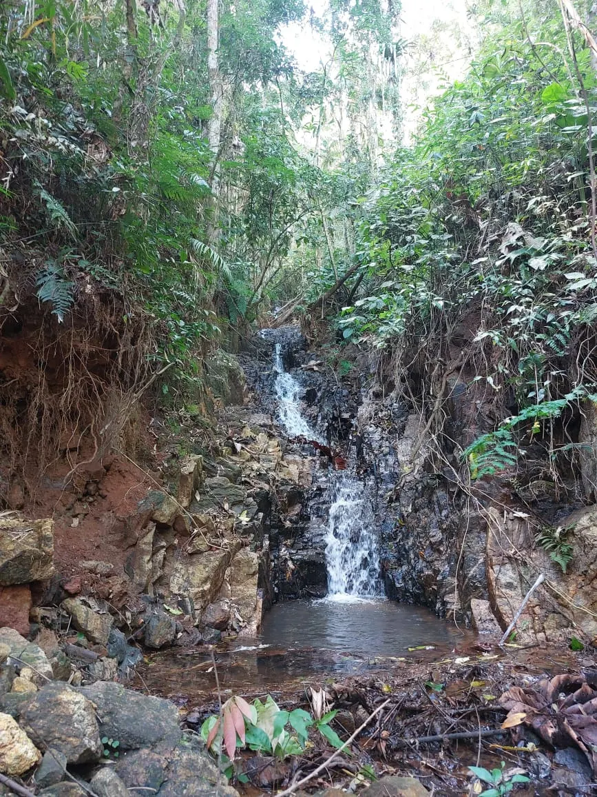 Small farm for sale of 132 acres in Monteiro Lobato, SP, Brazil