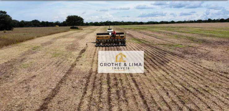 Fazenda à venda de 427 ha em Araguacema, TO, Brasil