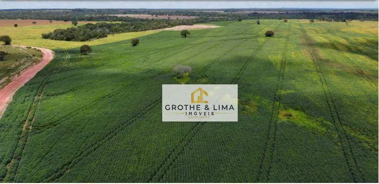 Fazenda à venda de 427 ha em Araguacema, TO, Brasil