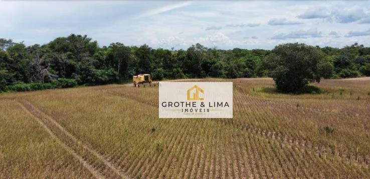 Fazenda à venda de 427 ha em Araguacema, TO, Brasil
