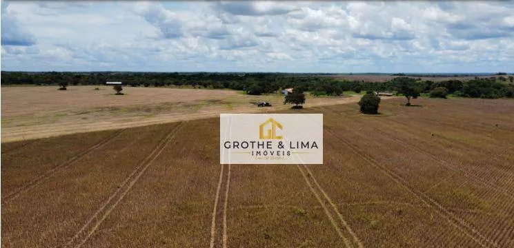 Fazenda à venda de 427 ha em Araguacema, TO, Brasil