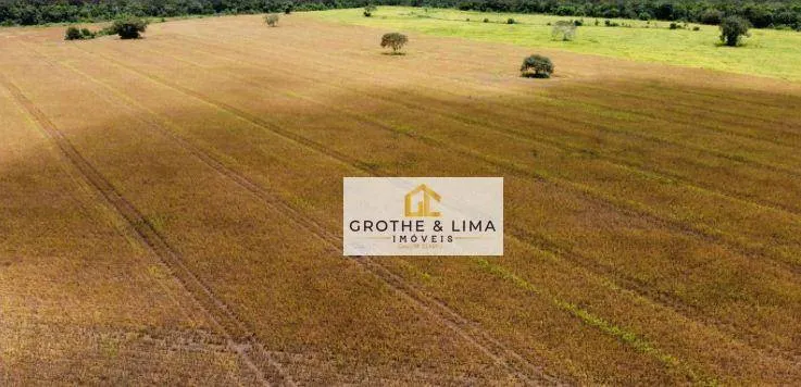 Fazenda à venda de 427 ha em Araguacema, TO, Brasil