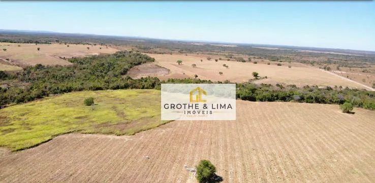 Fazenda à venda de 427 ha em Araguacema, TO, Brasil