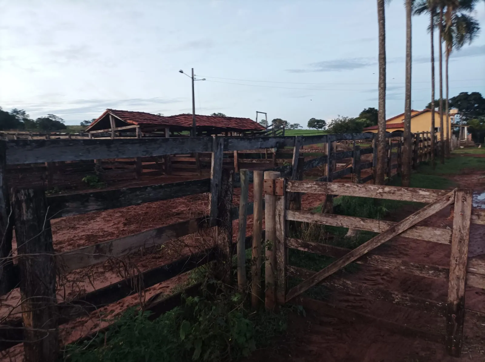 Fazenda à venda de 380 ha em Aparecida do Taboado, MS, Brasil