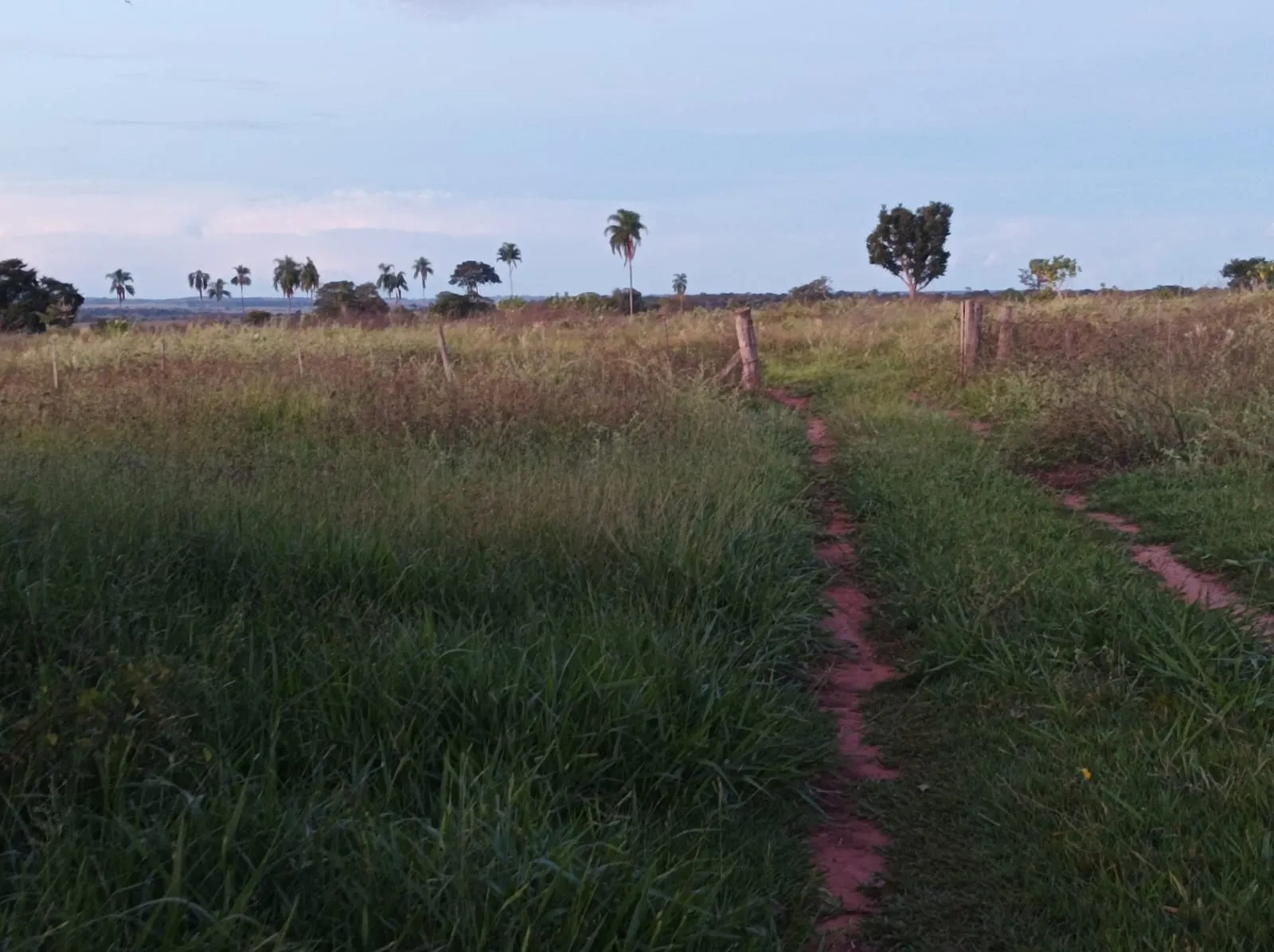 Fazenda à venda de 380 ha em Aparecida do Taboado, MS, Brasil