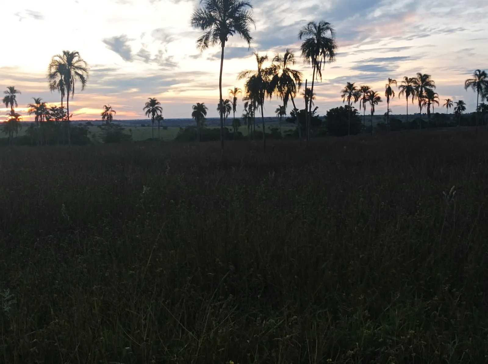 Fazenda à venda de 380 ha em Aparecida do Taboado, MS, Brasil