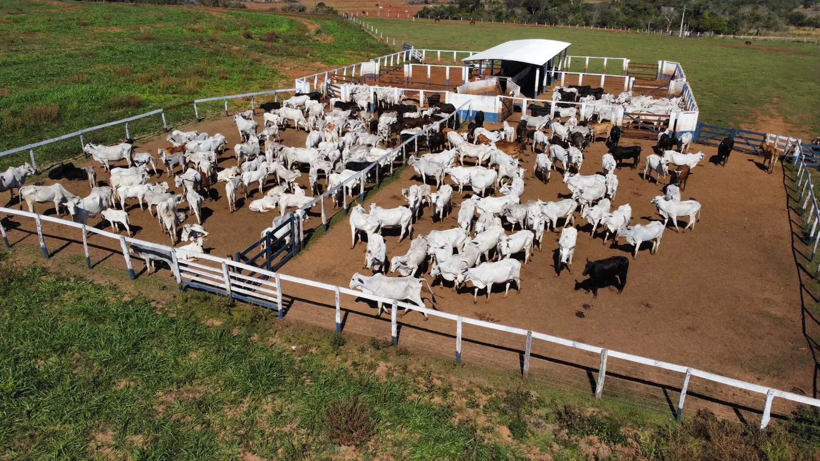Fazenda à venda de 380 ha em Aparecida do Taboado, MS, Brasil