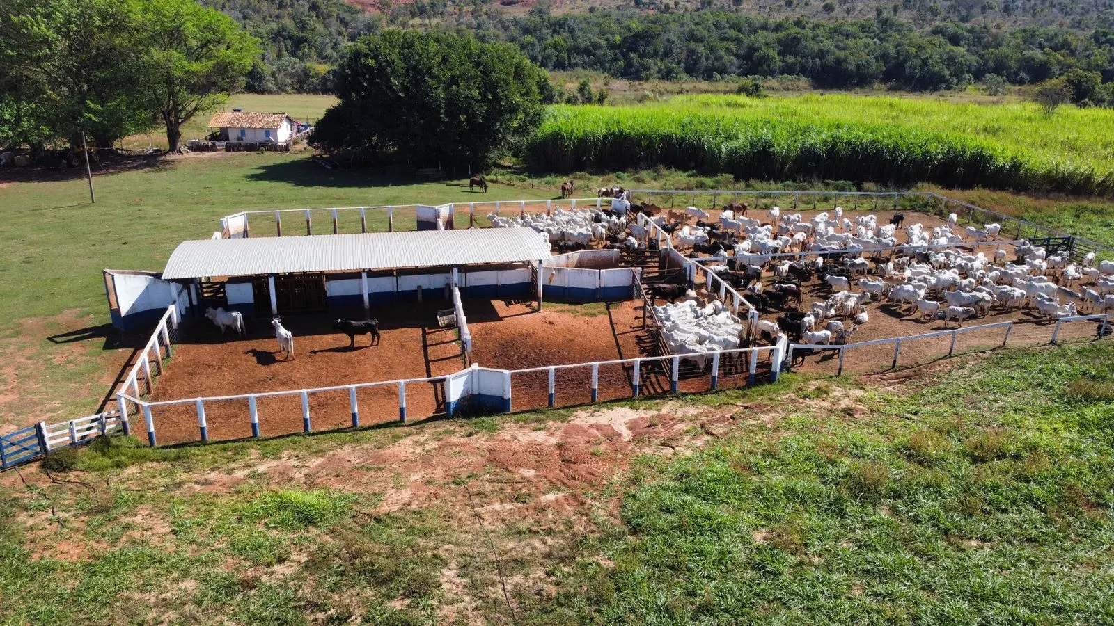 Fazenda à venda de 380 ha em Aparecida do Taboado, MS, Brasil