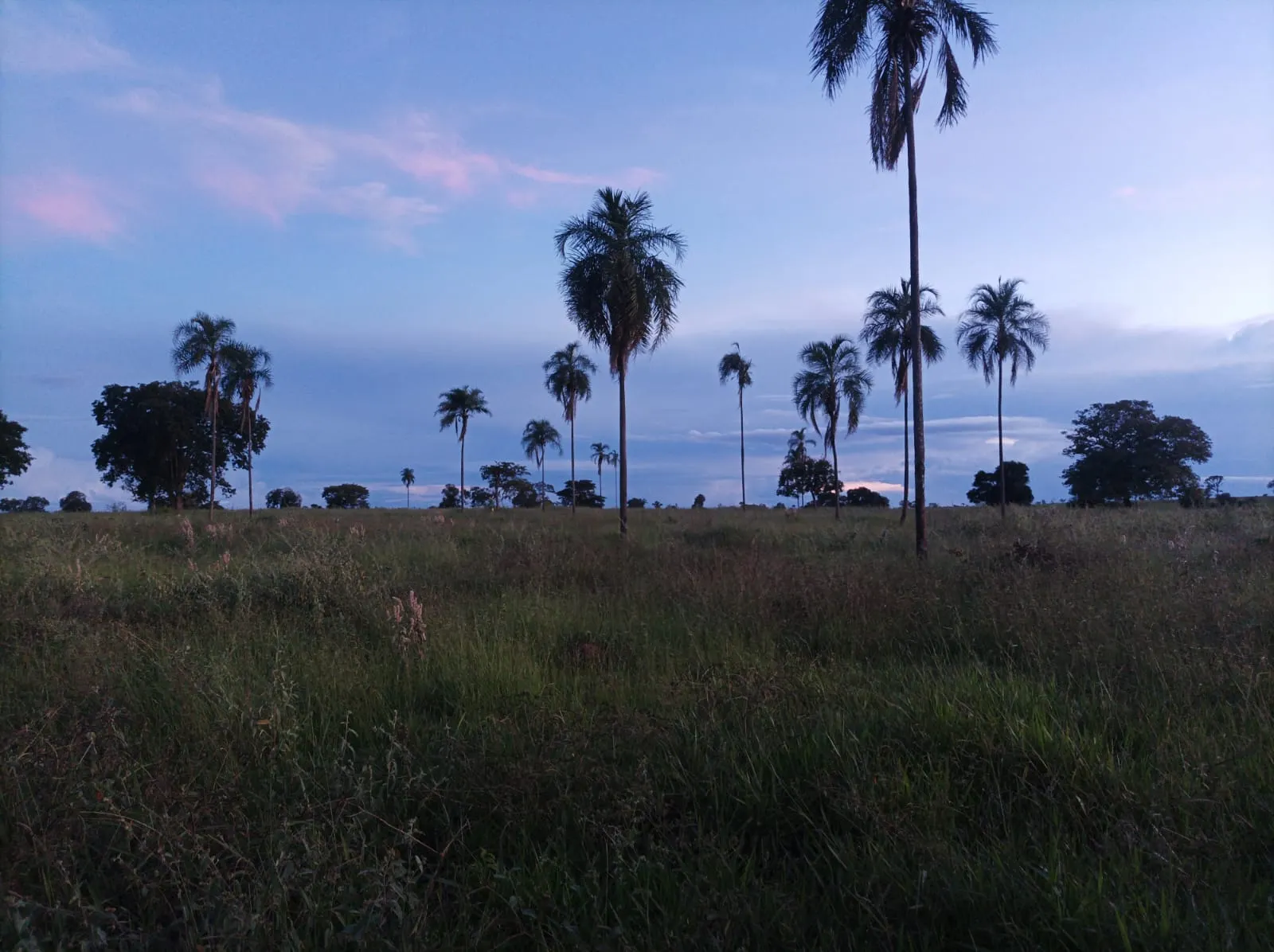 Fazenda à venda de 380 ha em Aparecida do Taboado, MS, Brasil