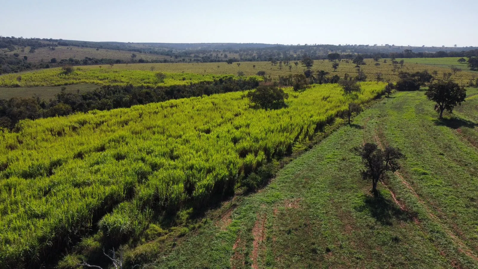 Fazenda à venda de 380 ha em Aparecida do Taboado, MS, Brasil