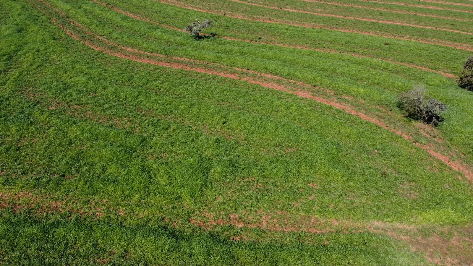 Fazenda à venda de 380 ha em Aparecida do Taboado, MS, Brasil