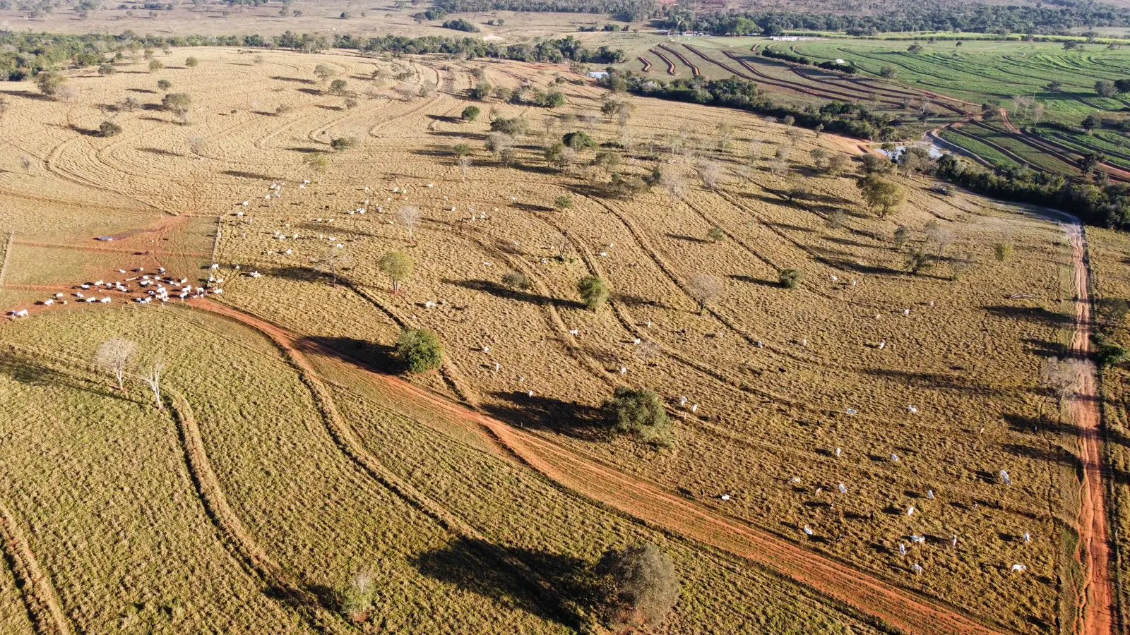Fazenda à venda de 380 ha em Aparecida do Taboado, MS, Brasil