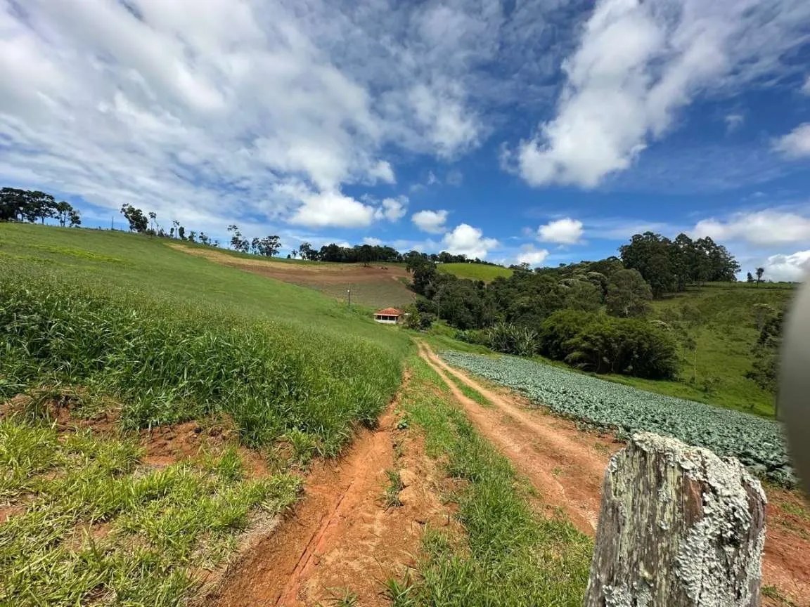 Small farm for sale of 24 acres in Ipuiúna, MG, Brazil
