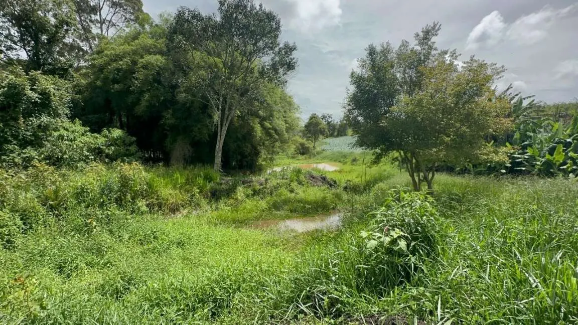 Small farm for sale of 24 acres in Ipuiúna, MG, Brazil