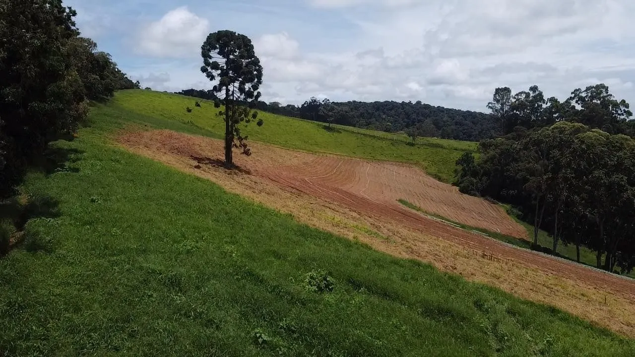 Small farm for sale of 24 acres in Ipuiúna, MG, Brazil