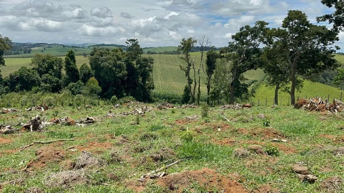 Small farm for sale of 24 acres in Ipuiúna, MG, Brazil