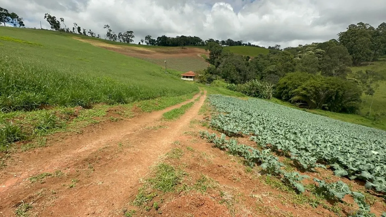 Small farm for sale of 24 acres in Ipuiúna, MG, Brazil
