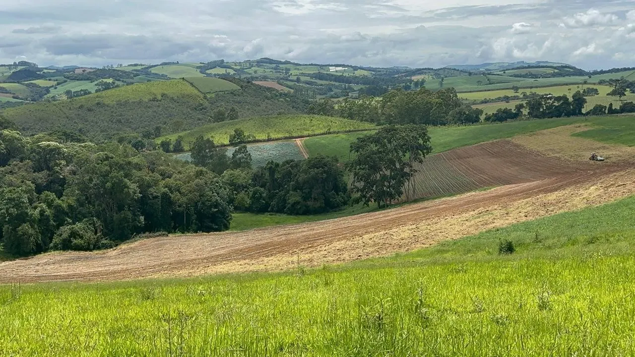 Small farm for sale of 24 acres in Ipuiúna, MG, Brazil