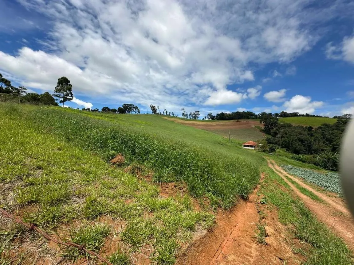 Small farm for sale of 24 acres in Ipuiúna, MG, Brazil