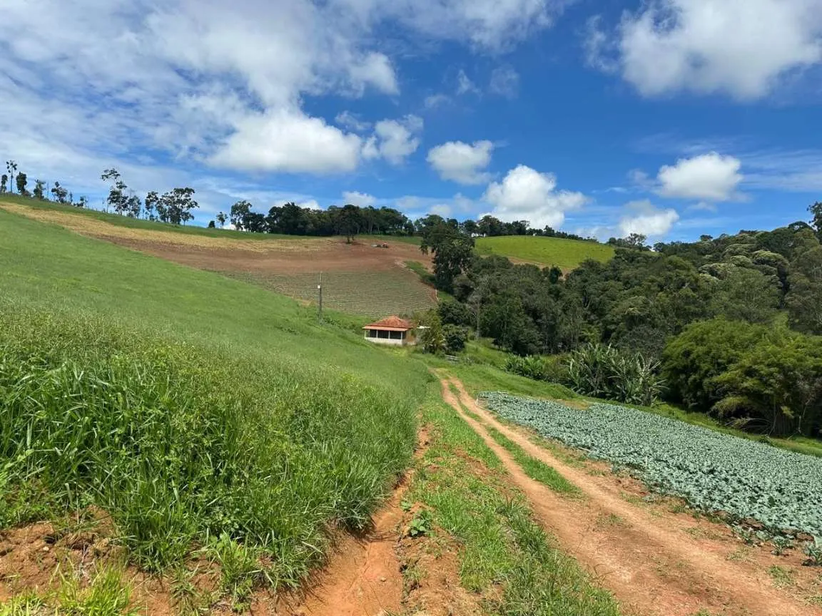 Small farm for sale of 24 acres in Ipuiúna, MG, Brazil
