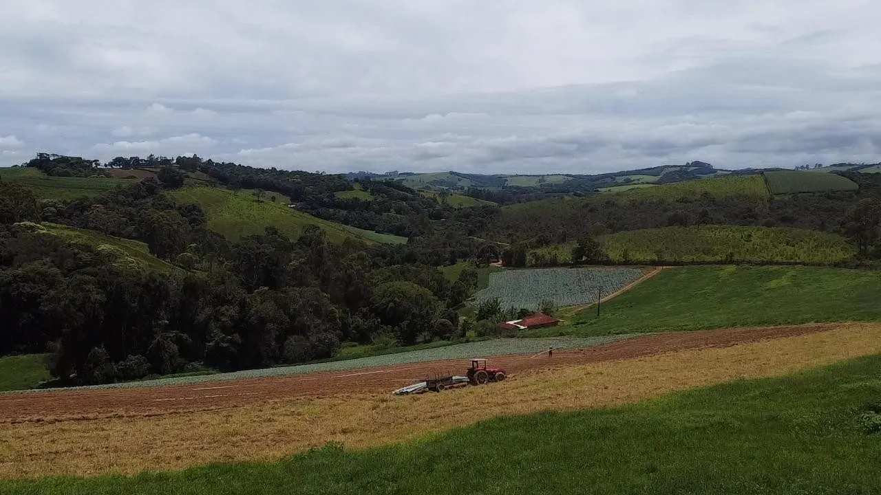 Small farm for sale of 24 acres in Ipuiúna, MG, Brazil