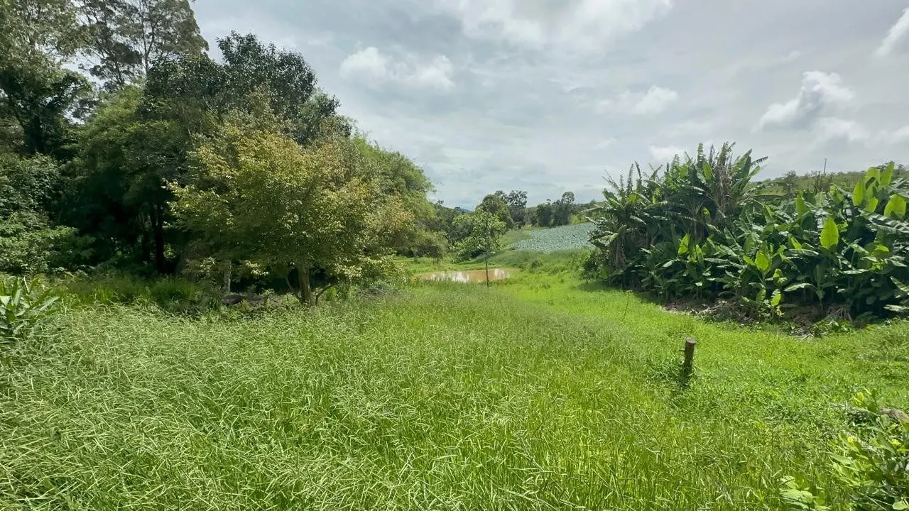 Small farm for sale of 24 acres in Ipuiúna, MG, Brazil