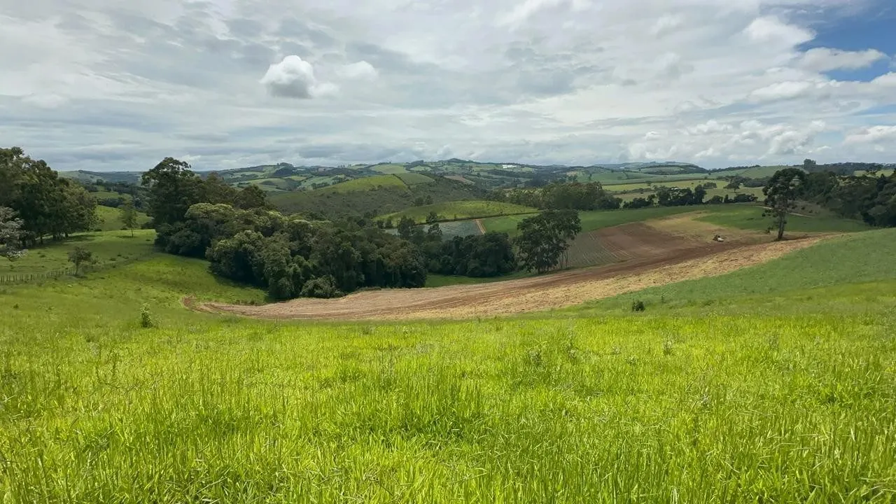 Small farm for sale of 24 acres in Ipuiúna, MG, Brazil