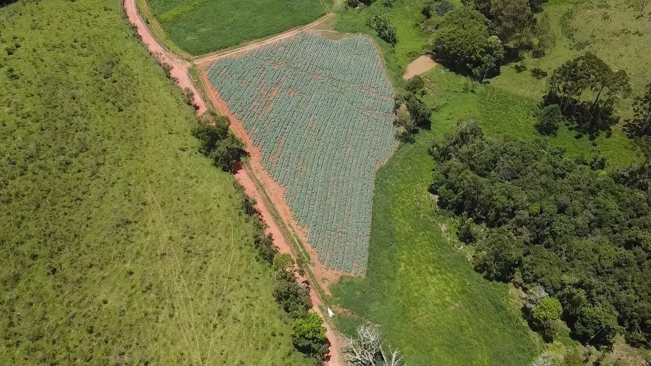 Small farm for sale of 24 acres in Ipuiúna, MG, Brazil