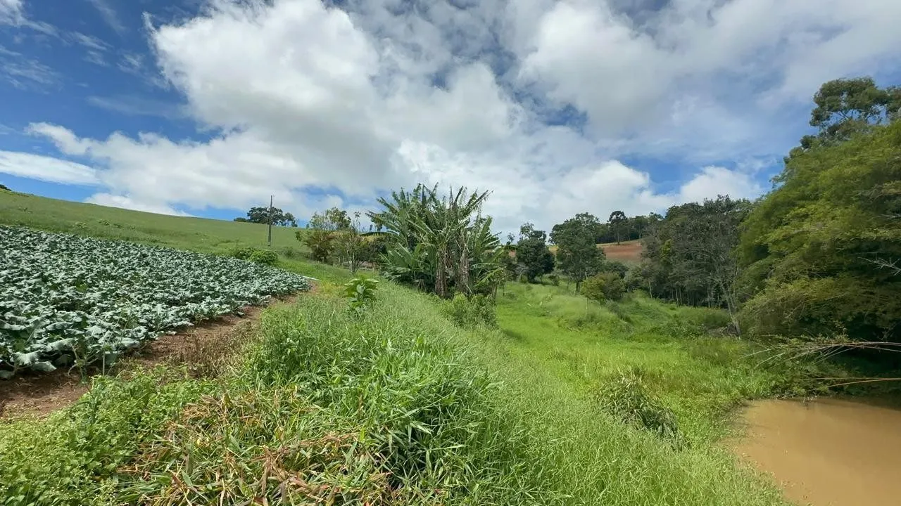 Small farm for sale of 24 acres in Ipuiúna, MG, Brazil