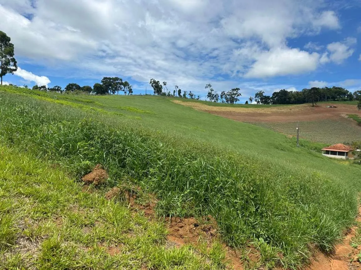 Small farm for sale of 24 acres in Ipuiúna, MG, Brazil