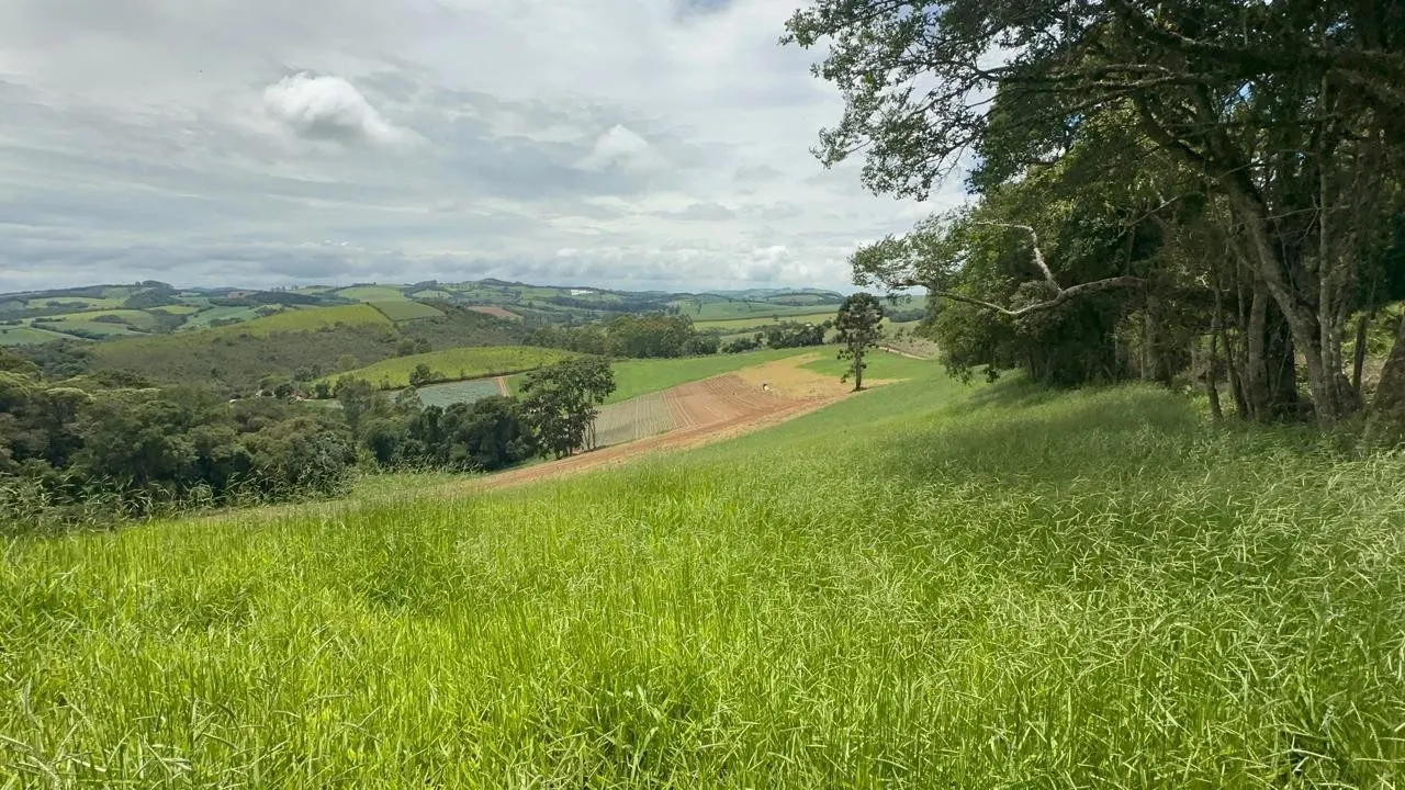 Small farm for sale of 24 acres in Ipuiúna, MG, Brazil