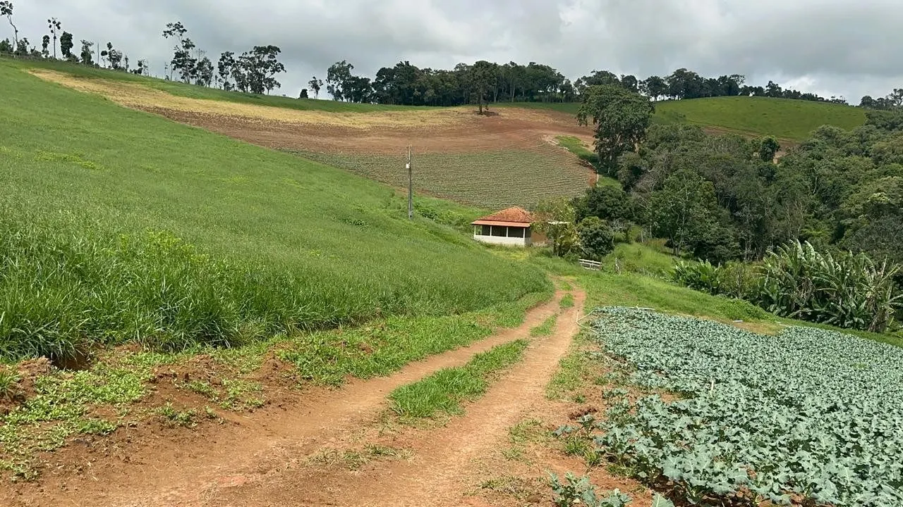Small farm for sale of 24 acres in Ipuiúna, MG, Brazil