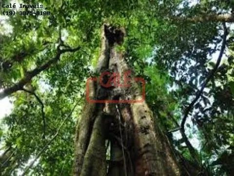 Fazenda à venda de 1.000 ha em Cananéia, SP, Brasil