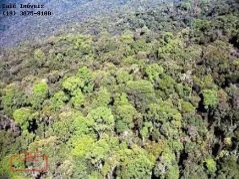 Fazenda à venda de 1.000 ha em Cananéia, SP, Brasil